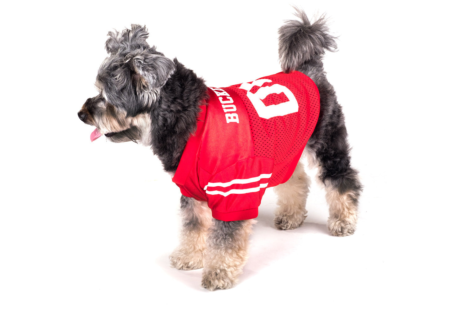 Ohio State