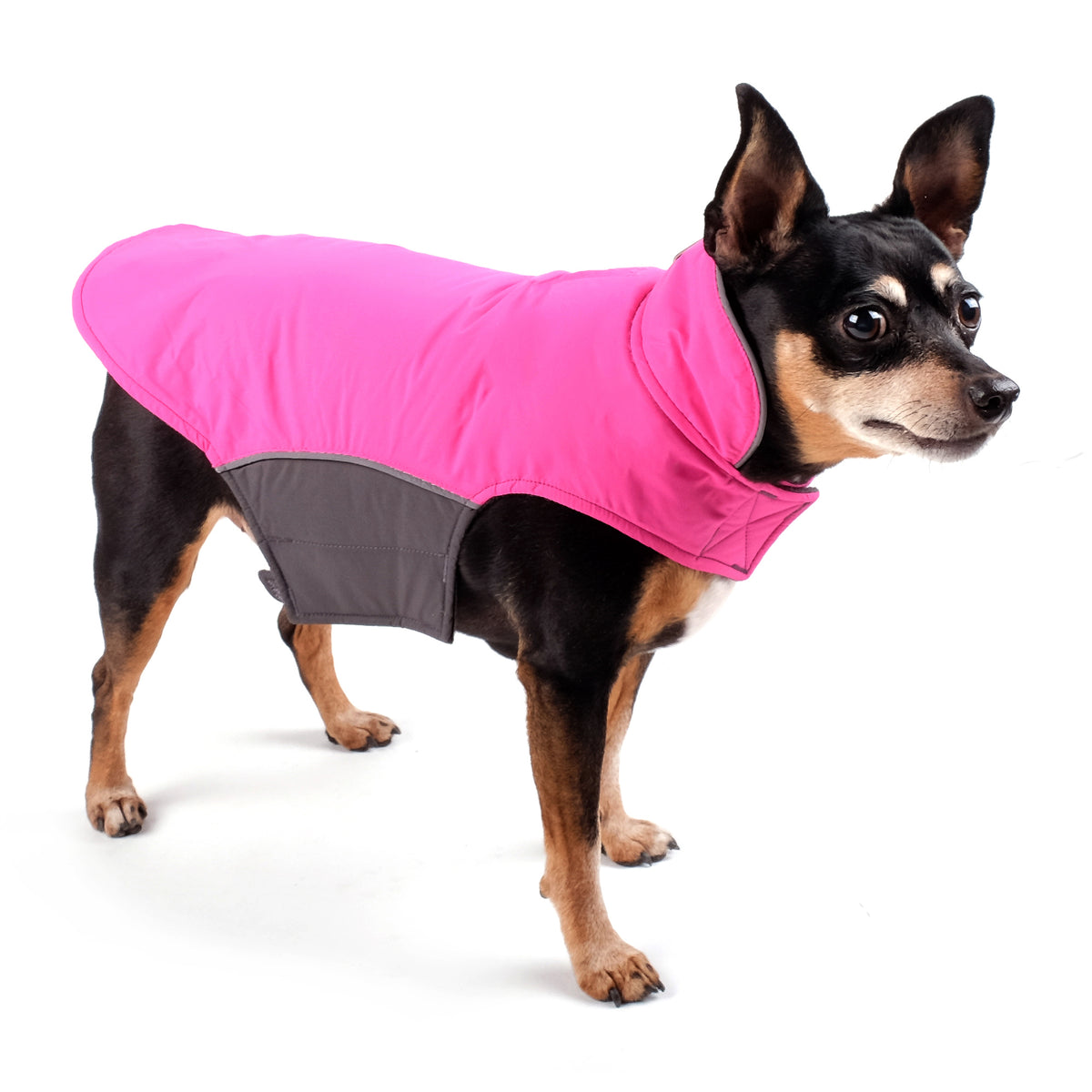 Apex Jacket
