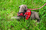 Plaid Sidekick Harness