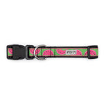 Watermelon Collar