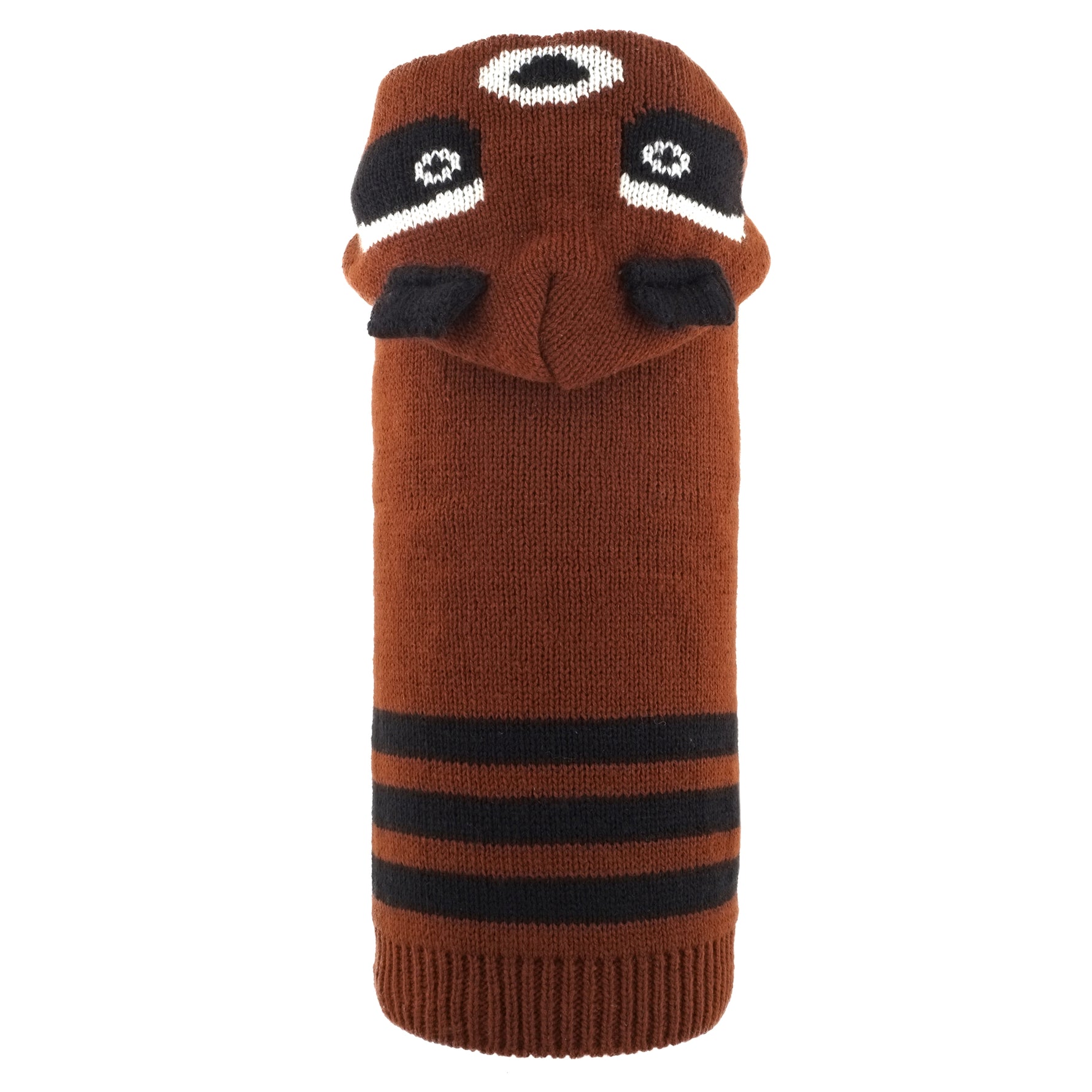 Ricky the Raccoon Hoodie