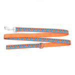 Foxy Lead