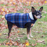 Alpine Jacket