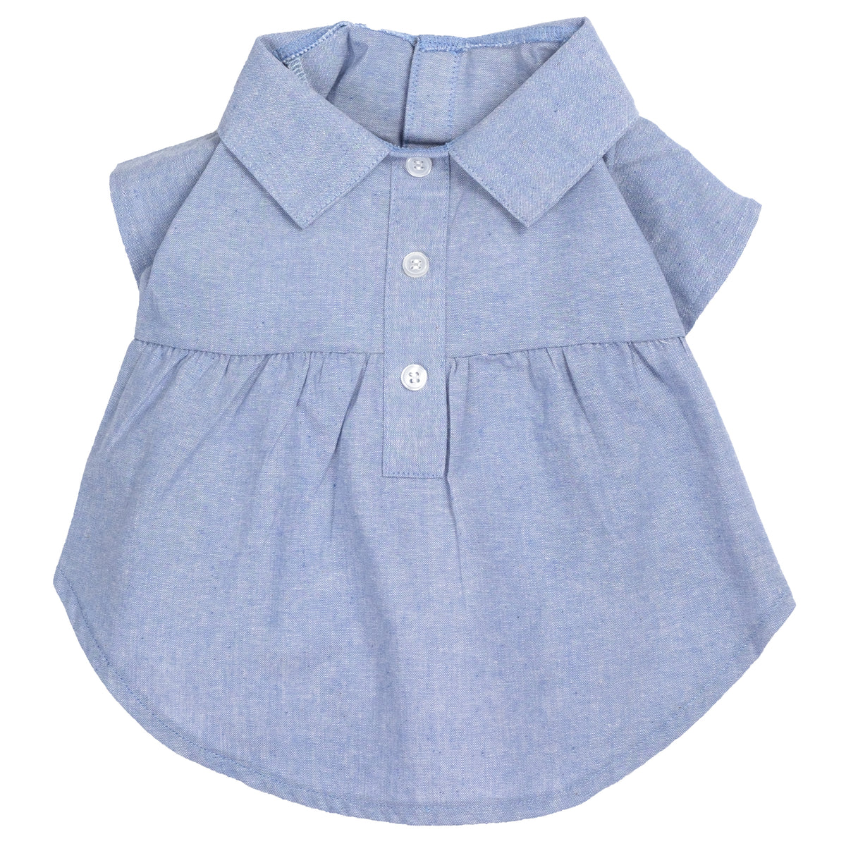 Chambray Dress