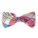 Bright Patch Madras Bow Tie