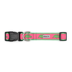 Alligators Collar