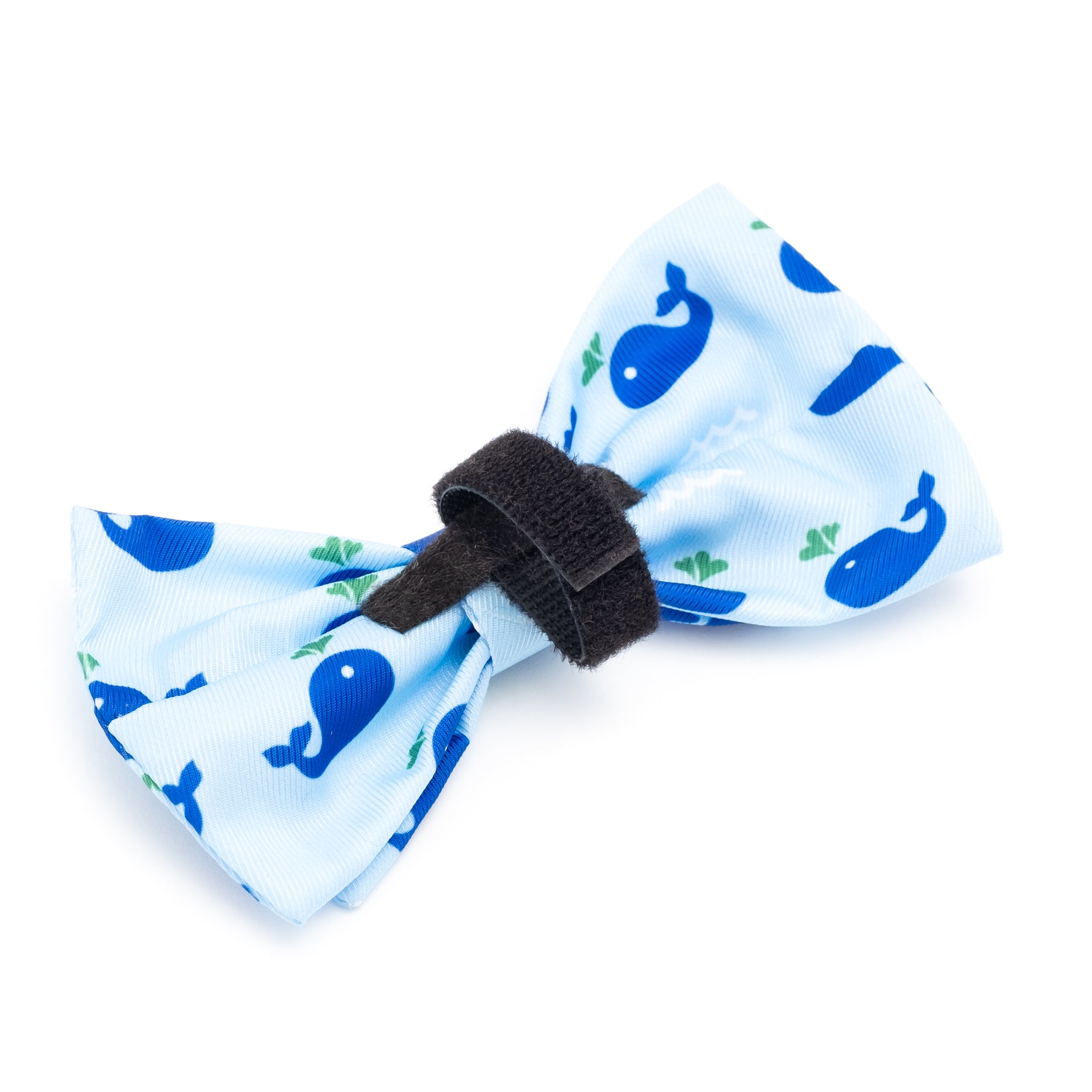 Squirt Bow Tie