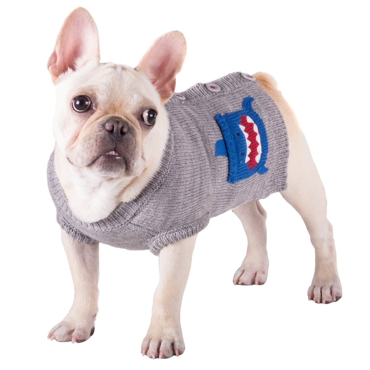 Shark Cardigan
