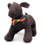 Rainbow Bow Tie