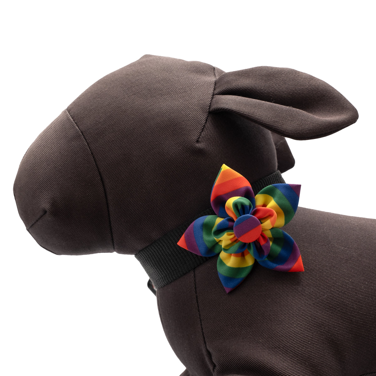 Rainbow Flower