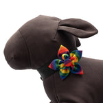 Rainbow Flower