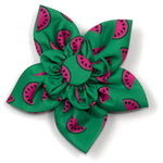 Watermelon Flower
