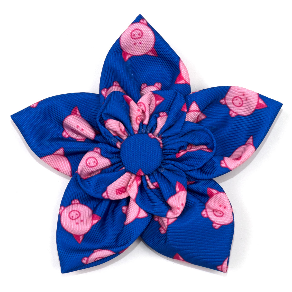 Wilbur Pig Flower