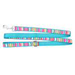 Fiesta Stripe Lead