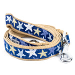 Starfish Lead