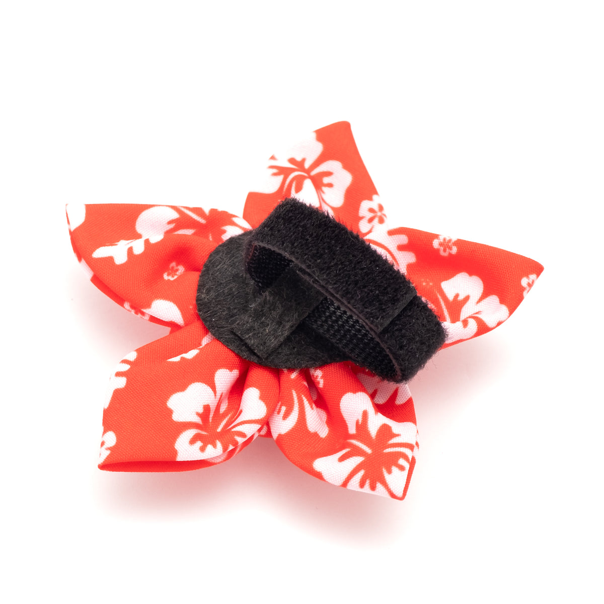 Aloha Flower