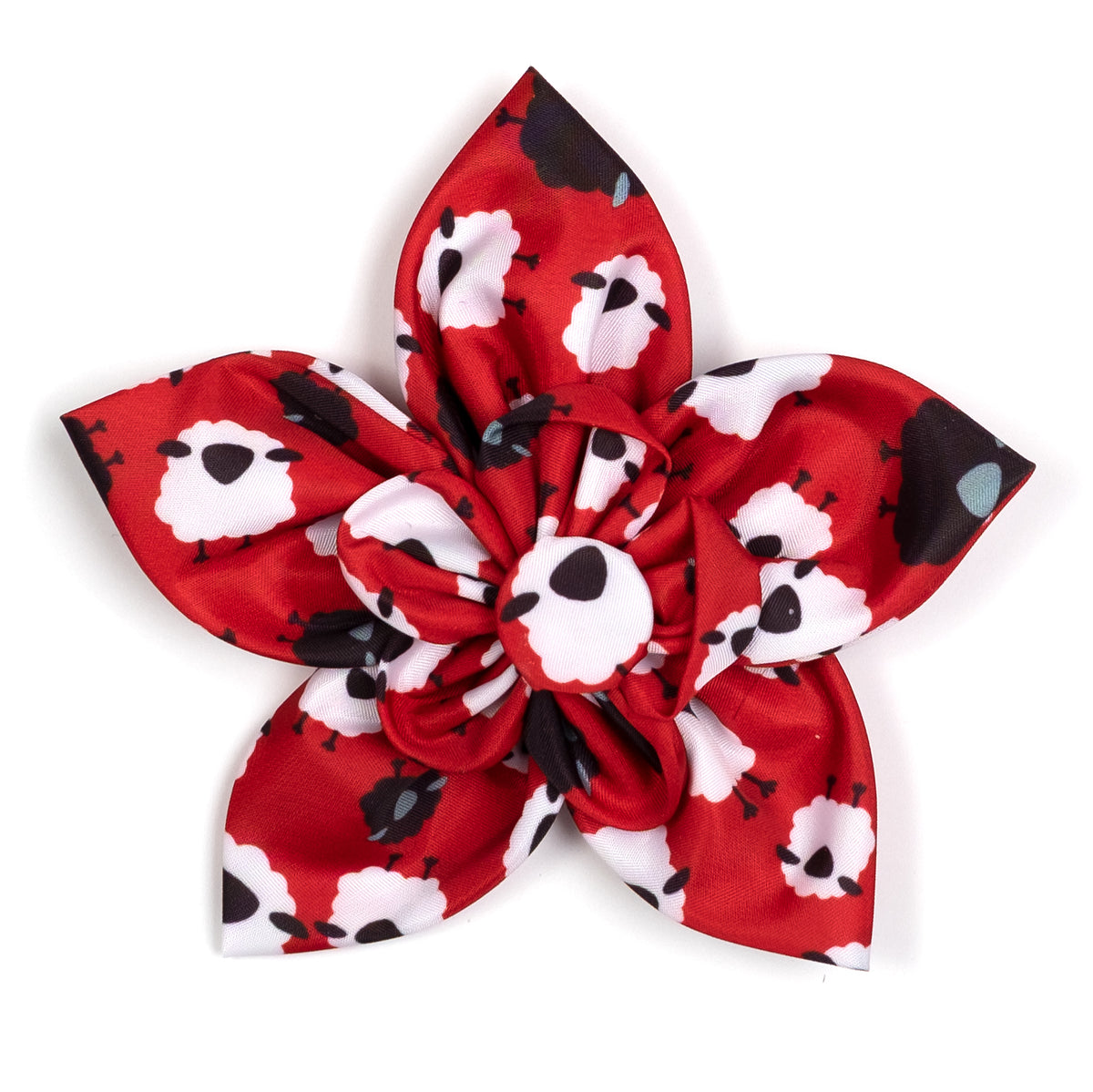 Counting Sheep Flower