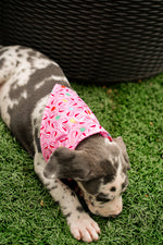 Birthday Girl Bandana