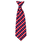 Bias Stars and Stripes Neck Tie