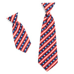 Bias Stars and Stripes Neck Tie
