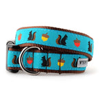 Squirrelly Collar