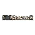 Cheetah Collar