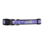 Sunburst Purple Collar