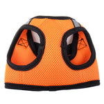 Sidekick Harness