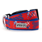 Preppy Bones Collar