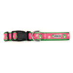 Ribbit Collar