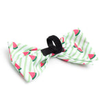 Stripe Watermelon Bow Tie