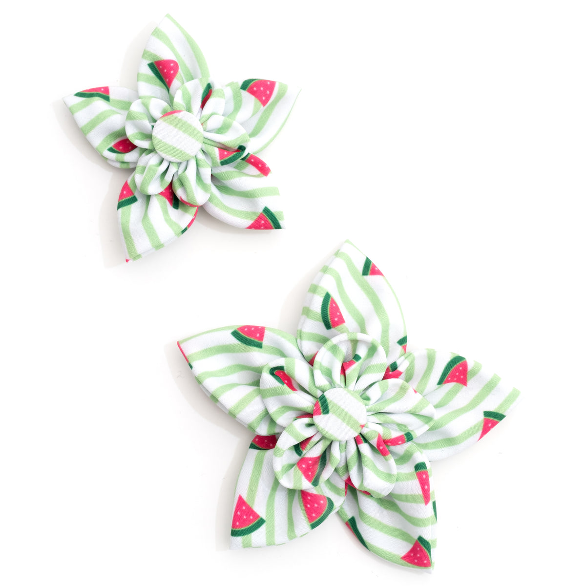 Stripe Watermelon Flower
