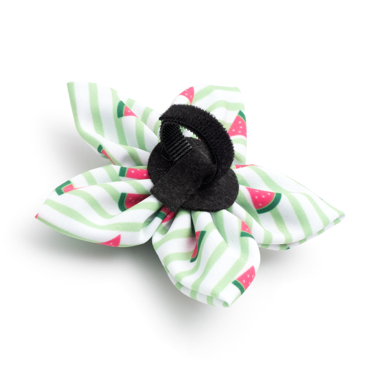 Stripe Watermelon Flower