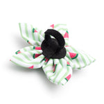 Stripe Watermelon Flower