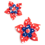 Stars Flower