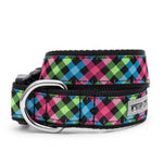 Carnival Check Collar