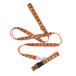 Pumpkin Spice Lead