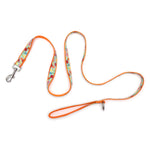Tutti Frutti Lead