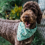 Golf Bandana