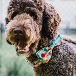 Tutti Frutti Bow Tie