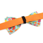 Tutti Frutti Bow Tie