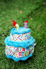 Birthday Cake Toy