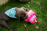 Birthday Cake Toy