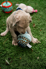 Birthday Pup Toy