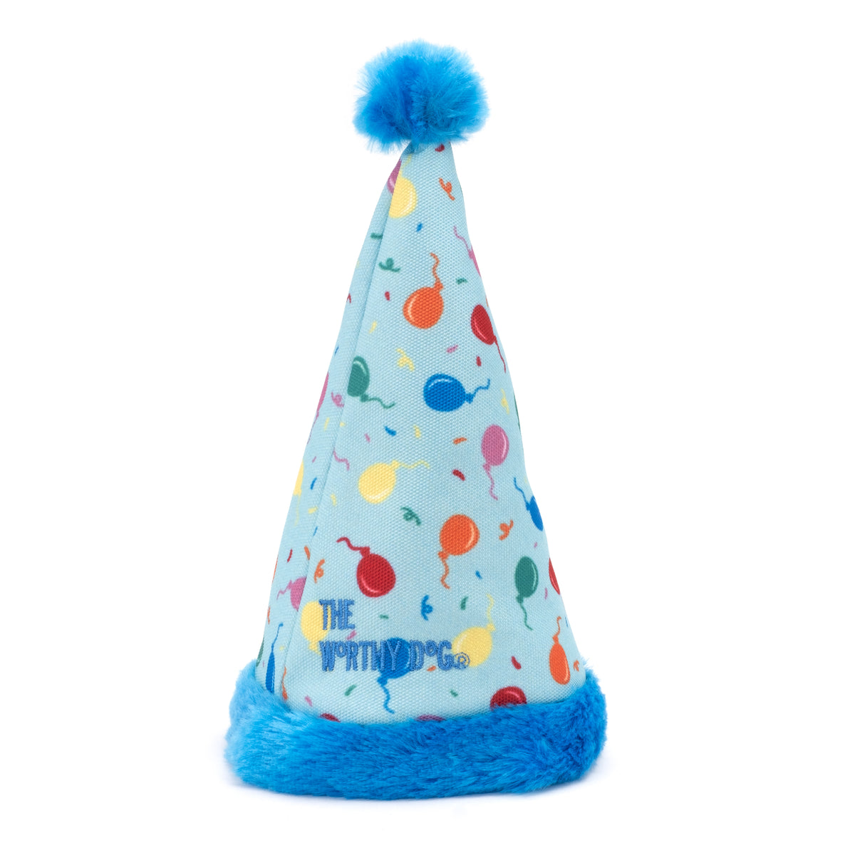 Birthday Party Hat