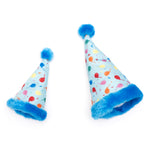 Birthday Party Hat