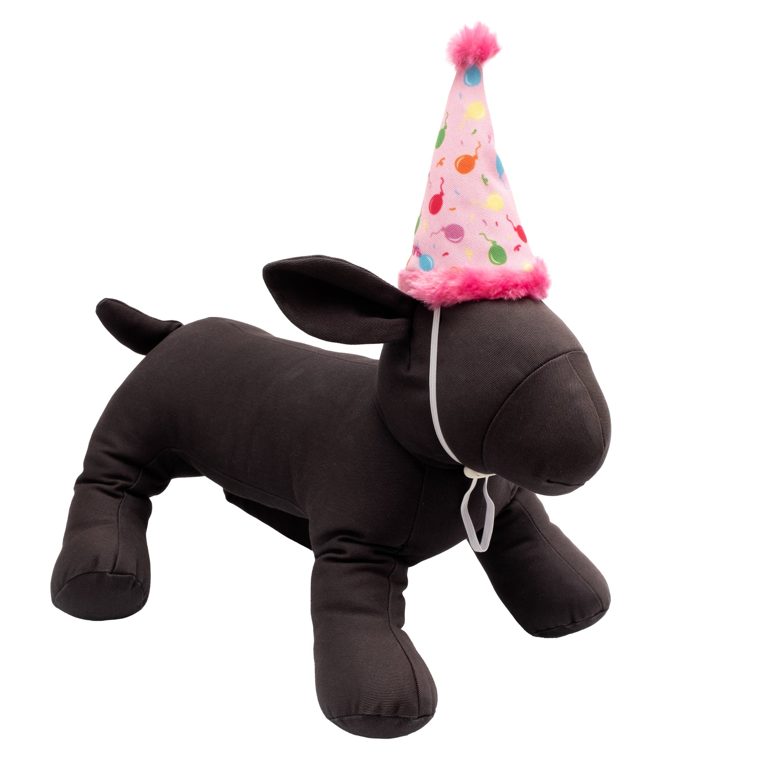 Birthday Party Hat
