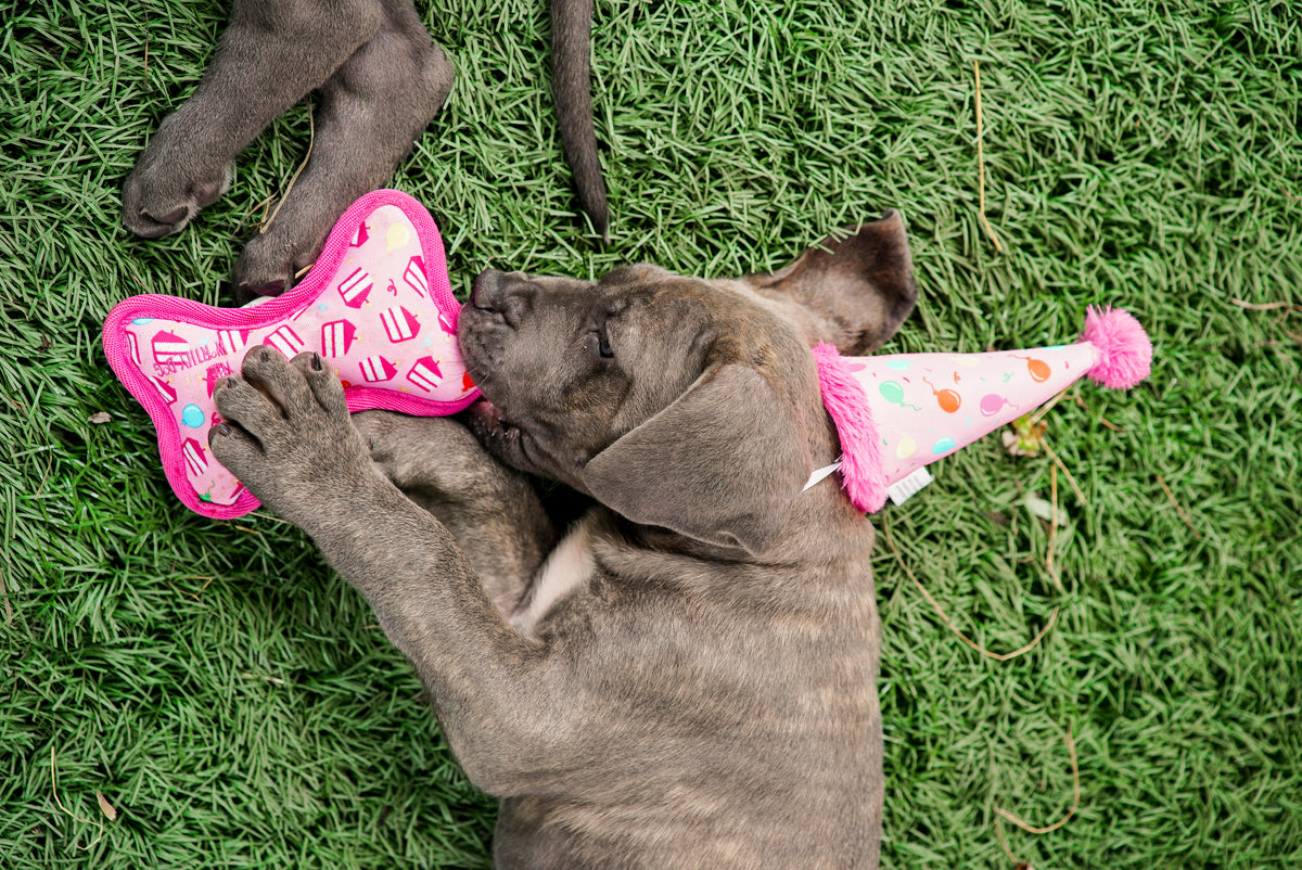Birthday Girl Bone Toy