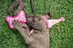 Birthday Girl Bone Toy