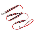 Santa Lead